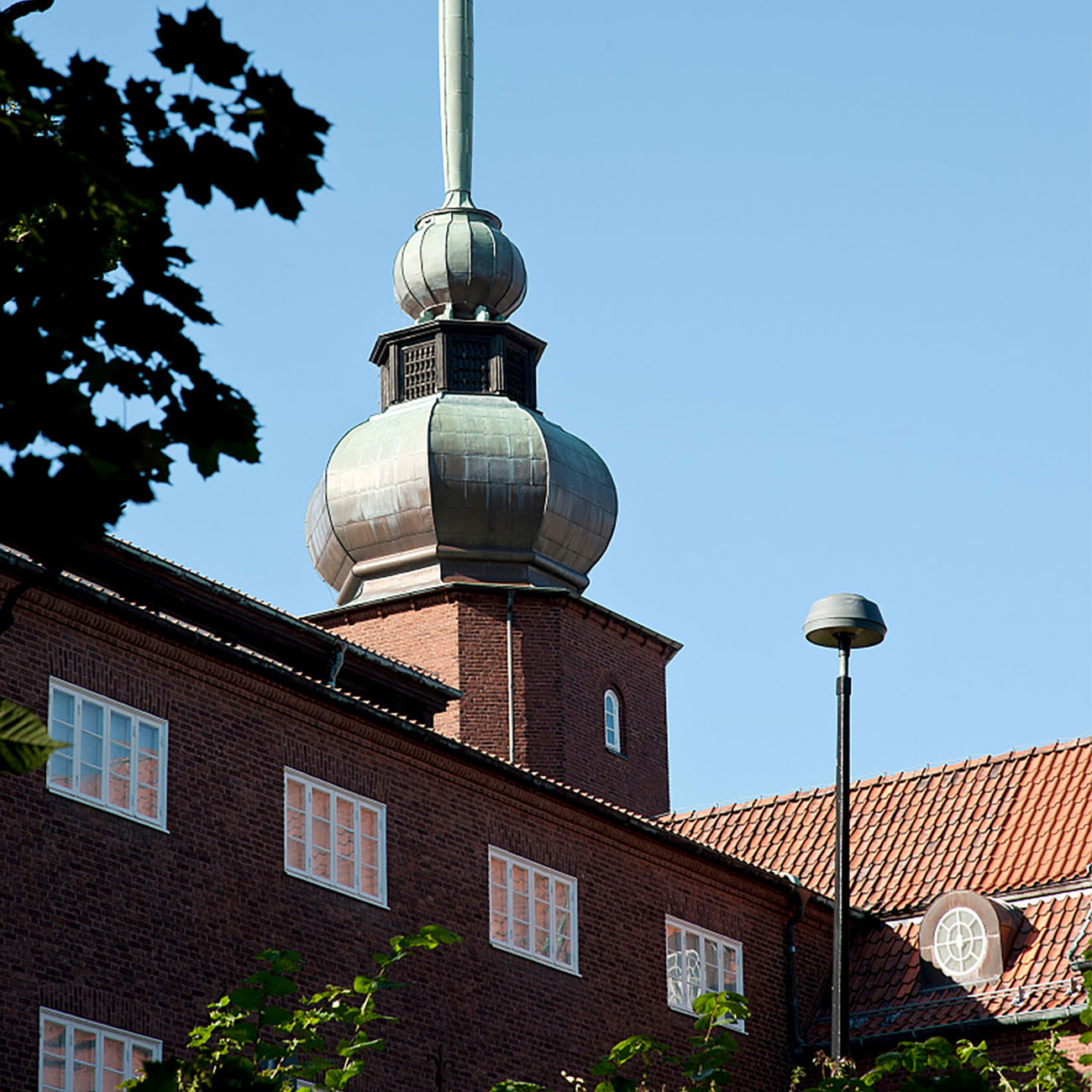 Göteborgs naturhistoriska museum